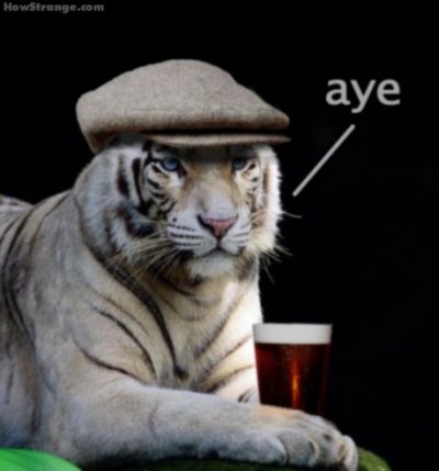 1221817401 163 FT101177 Aye Of The Tiger 